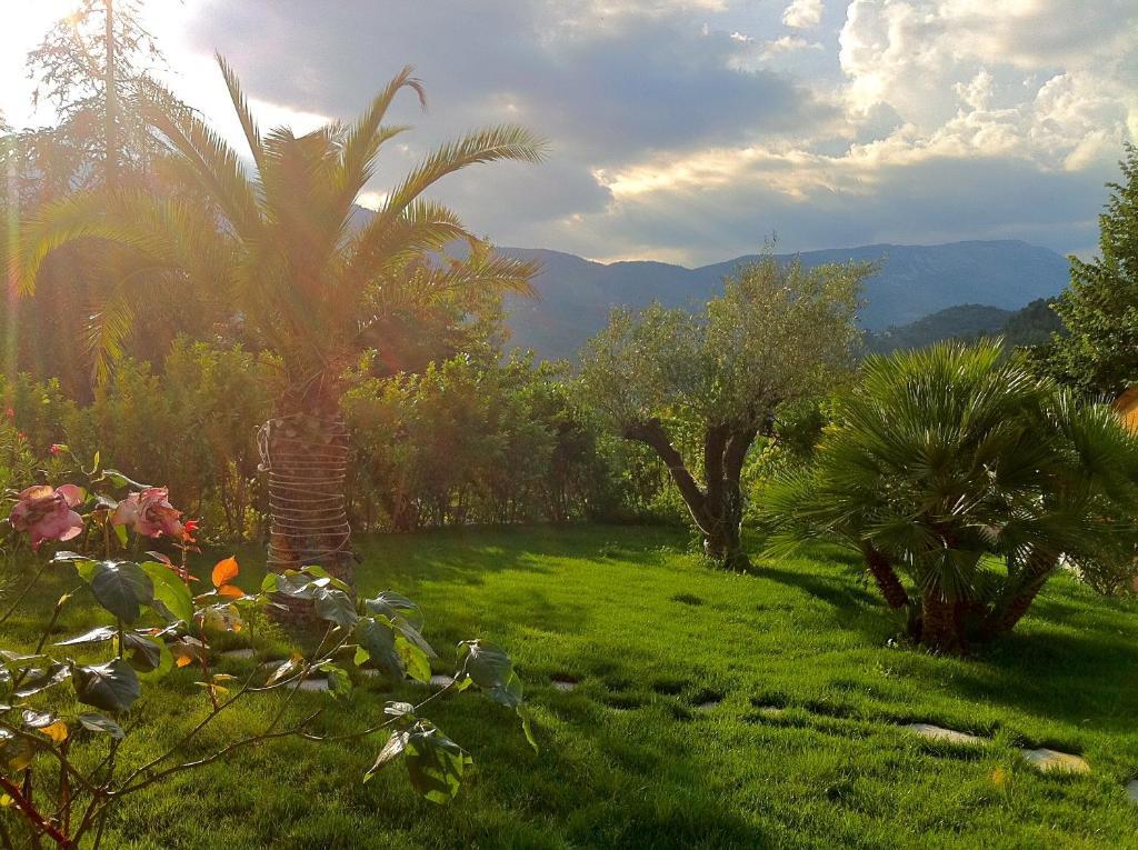 Villa Cyriel Contes  Εξωτερικό φωτογραφία